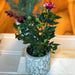 Petit pot plantes/fleurs, motif "forêt"